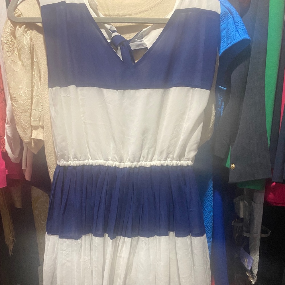 Blue and White Dress
